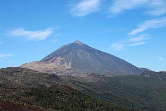 Skov og Teide i baggrunden. Foto: Pixabay