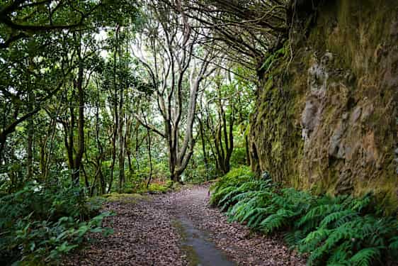 Anaga-bjergene. Foto: Unsplash