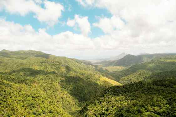 Mauritius savanne