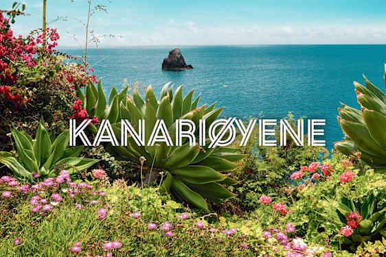 Cruise i Karibia