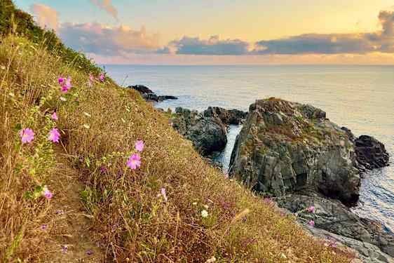Klipper og blomster i Bulgaria