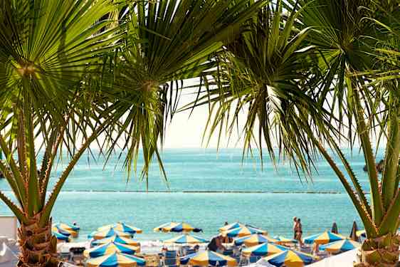 Palmer og parasoler på Gran Canaria