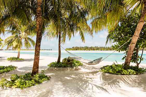 Maldivene
