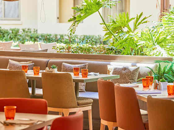 Restaurant på Zafiro Tropic med utsikt mot hagen