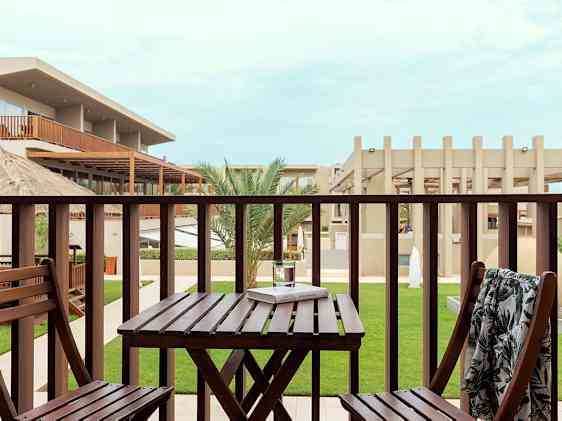 Søpapegøje. Foto: Unsplash