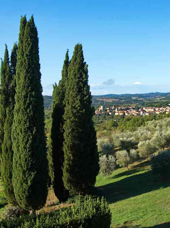 Toscanska vyer