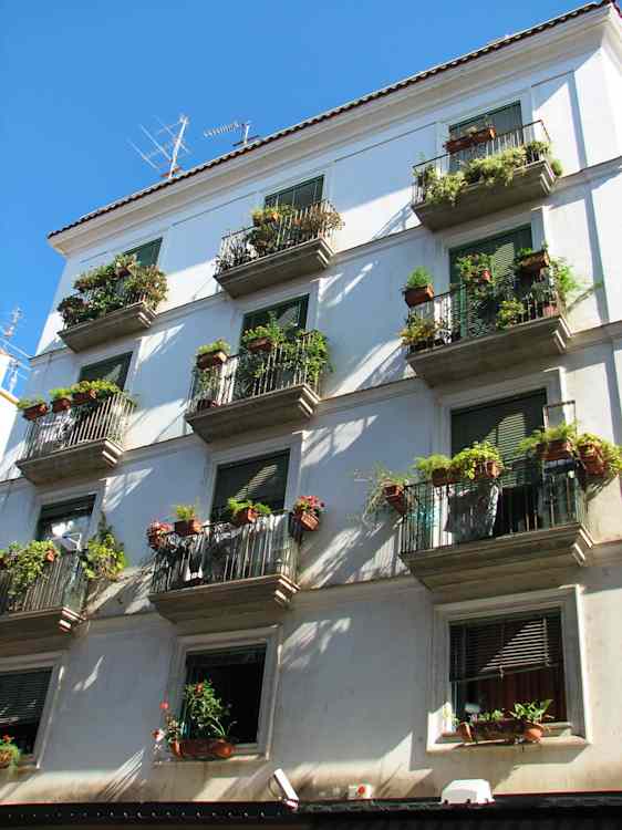 Sorrento