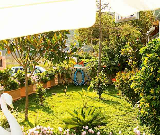 En grønn hage med fargerike blomster og planter. (AI-generert tekst)