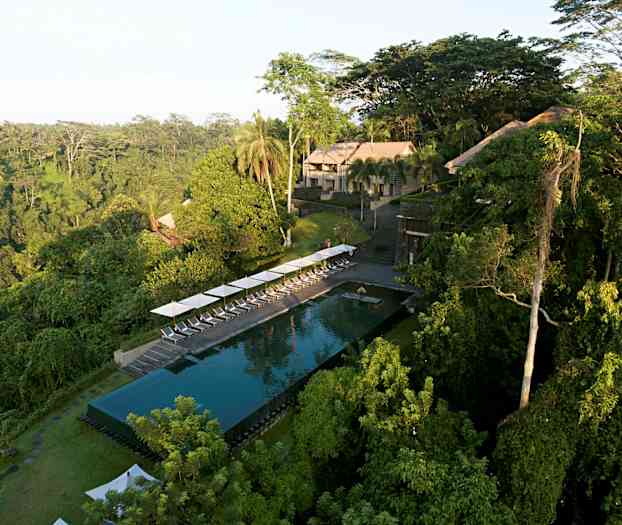 Et infinitybasseng med solsenger ved kanten, omgitt av frodig tropisk skog. (AI-generert tekst)