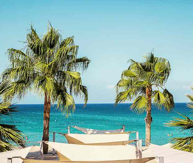 Palmer ved en strand med blått hav i bakgrunnen. (AI-generert tekst)