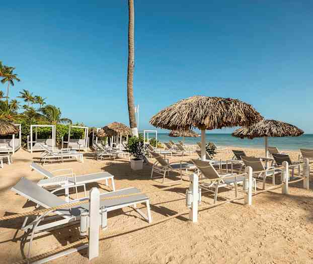 Solstoler og parasoller er plassert på en sandstrand med rolig hav i bakgrunnen. (AI-generert tekst)