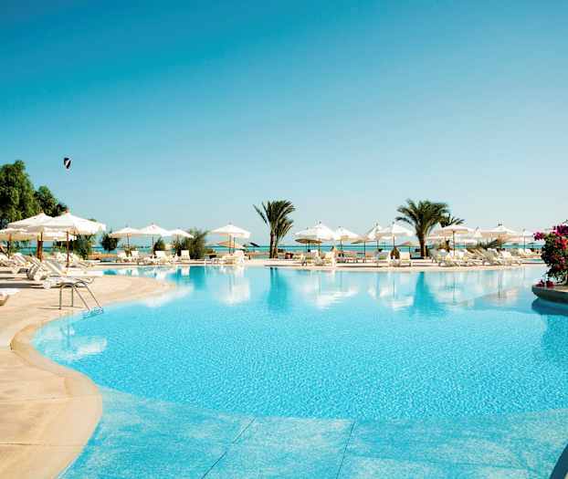 Et stort basseng med solsenger og parasoller rundt, palmer og blomster er synlige i bakgrunnen. (AI-generert tekst)