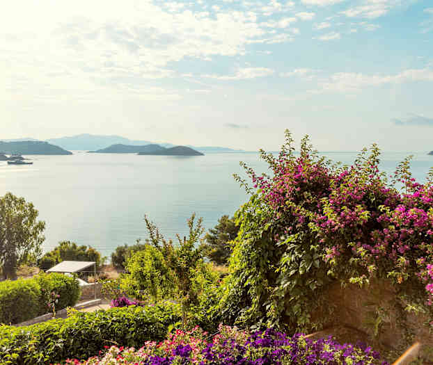 Utsikt over havet med øyer i det fjerne, omgitt av grøntområder og blomster. (AI-generert tekst)