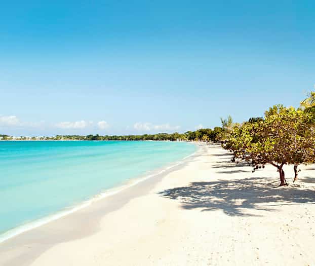 En strand med hvit sand, blått hav og trær langs kysten under en klarblå himmel. (AI-generert tekst)