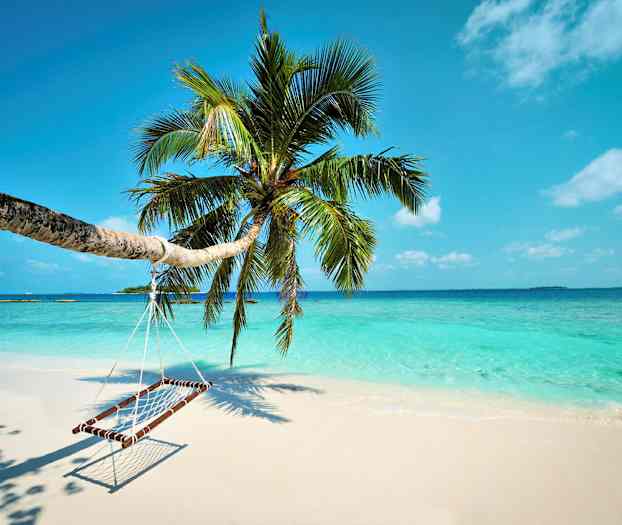 En hengekøye henger fra en palme på en sandstrand med klart vann og blå himmel. (AI-generert tekst)