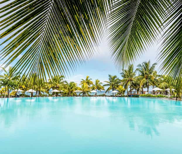 Stor basseng omgitt av palmetrær og parasoller. (AI-generert tekst)
