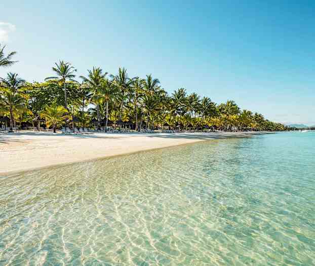 En sandstrand med palmer og klart vann. (AI-generert tekst)