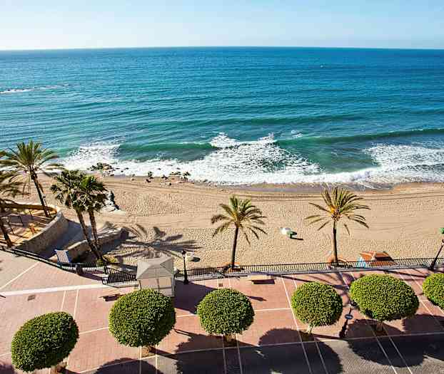 Utsikt over en strand med palmer og blått hav. (AI-generert tekst)