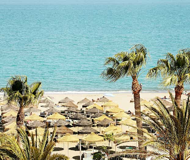 En strand med parasoller og solsenger, og palmetrær i forgrunnen. (AI-generert tekst)