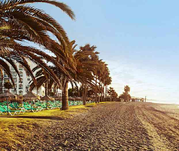 En sandstrand med solsenger og parasoller, omgitt av palmer og bygninger i bakgrunnen. (AI-generert tekst)