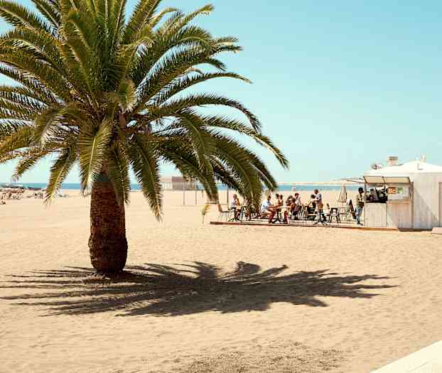 En strand med en palme i forgrunnen, en kafé med sitteplasser ved siden av. (AI-generert tekst)