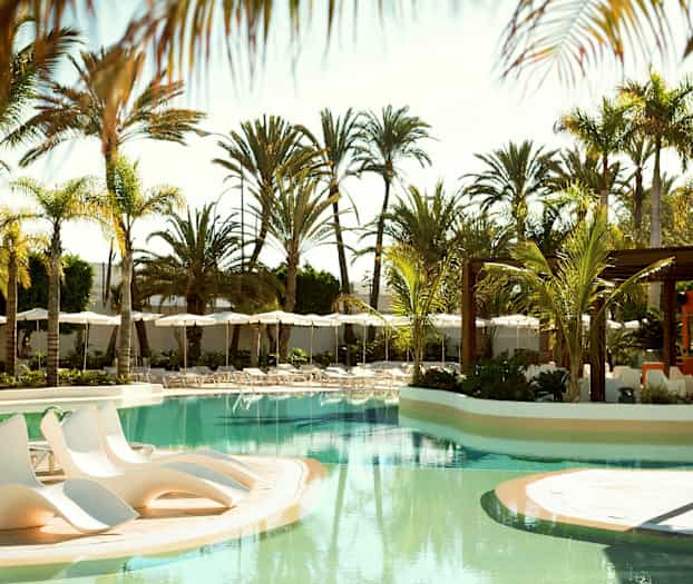 Et utendørs svømmebasseng omgitt av solsenger og palmer. (AI-generert tekst)