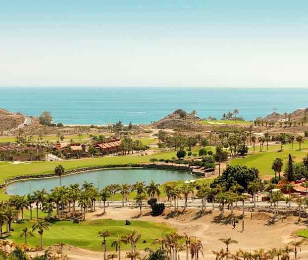 Utsikt over en frodig park med trær, bygninger og havet i bakgrunnen. (AI-generert tekst)