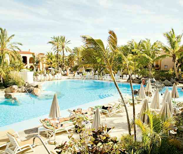 Et solfylt basseng med solsenger og parasoller omgitt av palmer. (AI-generert tekst)