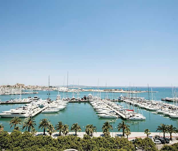 Marina med mange båter fortøyd ved brygger, omgitt av vann og med palmer i forgrunnen. (AI-generert tekst)