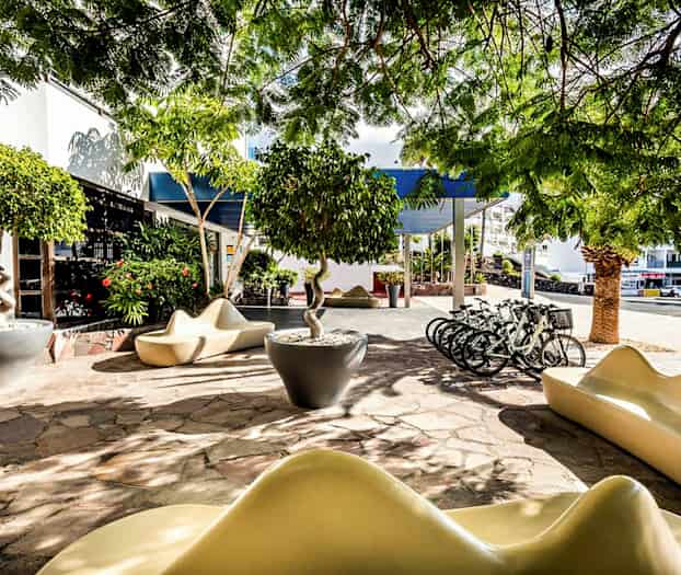 Utendørsområde med moderne sittemøbler, sykler og trær samt grønn vegetasjon under skyggefulle trær. (AI-generert tekst)