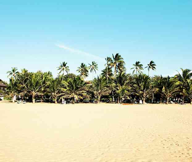 En strand med gyllen sand, mange palmer og bygninger i bakgrunnen. Solsenger står på stranden. (AI-generert tekst)