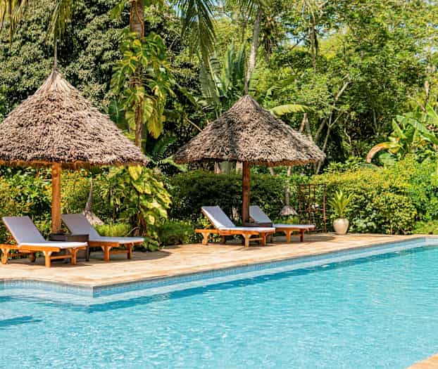Solstoler med parasoller ved et basseng omgitt av tropisk flora. (AI-generert tekst)