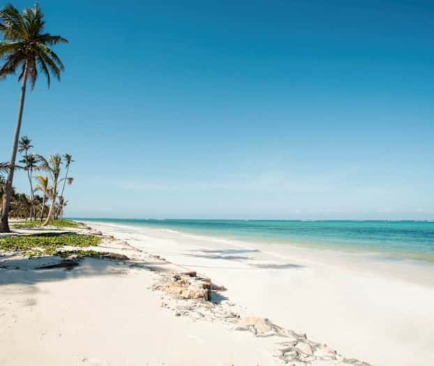 En strand med hvit sand, palmer og turkist vann. (AI-generert tekst)