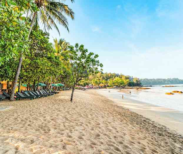 En sandstrand med solsenger under skyggen av grønne trær og palmer, med havet og en skog i bakgrunnen. (AI-generert tekst)