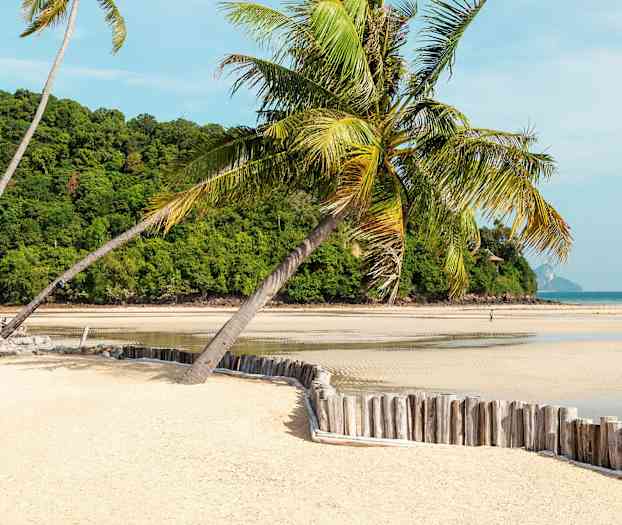En sandstrand med palmer, en høyde dekket av grønt i bakgrunnen og havet synlig på horisonten. (AI-generert tekst)