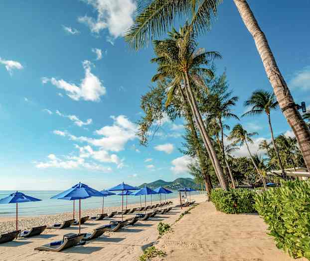 En strand med solsenger og blå parasoller under en klar blå himmel. Palmer omgir stranden. (AI-generert tekst)