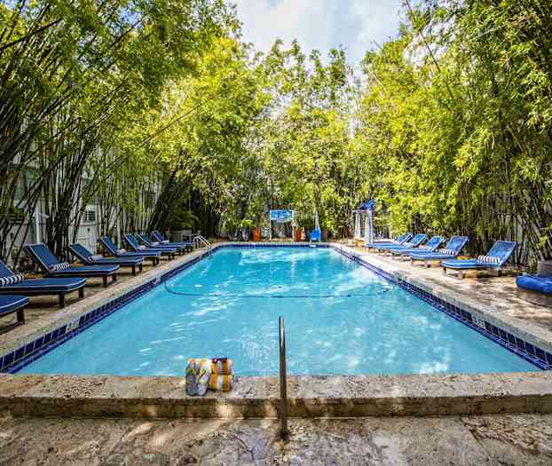 Et utendørsbasseng omgitt av bambustrær og med blå solsenger rundt. (AI-generert tekst)