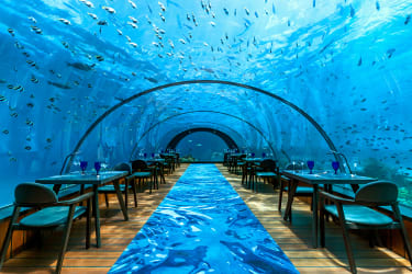 5.8 Undersea Restaurant byr på en matopplevelse du sent vil glemme.