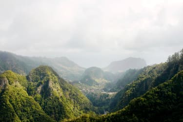 Utsikt over frodig landskap på Madeira