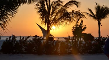 Magisk solnedgang på Zanzibar