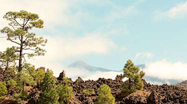 Tenerife