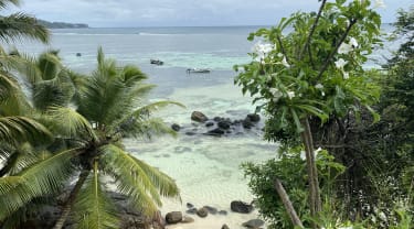 Strand på Seychellene