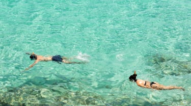Et par snorkler i vannet på Mallorca