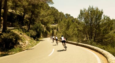 Sykkelreiser til Alcudia