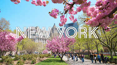Opplev New York med Ving