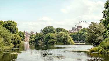 Park i London, London Eye i bakgrunnen