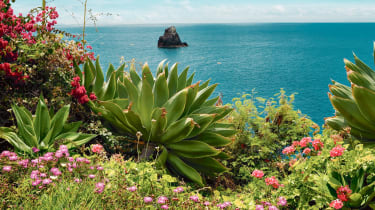 Natur på Madeira