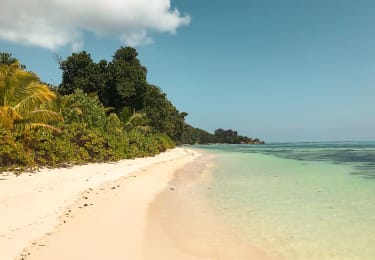 Strand med regnskog i bakgrunnen på Seychellene - et av Vings reisemål
