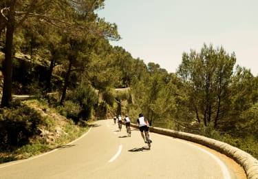 Sykkelreiser til Alcudia, Mallorca