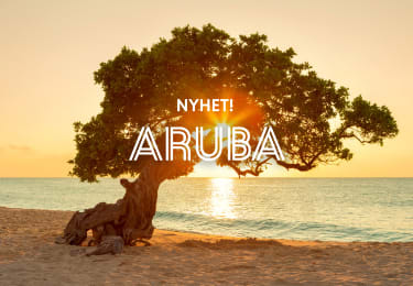 Reiser til Aruba i vinter